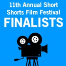 The Duluth Playhouse Announces Filmmakers for 2016 Short Shorts Film Festival Video