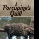 Adria Cannon Releases A PORCUPINE'S QUILL Video