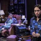 Photo Flash: First Look at Lisa Kron's WELL at 1st Stage Video