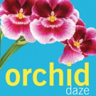 Escape to the Tropical World of ORCHID DAZE at Atlanta Botanical Garden