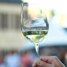Riesling Rendezvous Grand Tasting July 17 to feature Winemakers from around the World Video