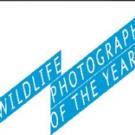 The Royal Ontario Museum Presents 2015 WILDLIFE PHOTOGRAPHER OF THE YEAR, 11/21