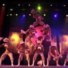 Circus With A Difference Returns with Brand-New Show Video