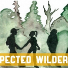 Take a Farcical Romp Into the Woods in UNEXPECTED WILDERNESS at Annex Theatre Video