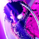 Full Cast Announced for THE DONKEY SHOW - A MIDSUMMER NIGHT'S DISCO in London Video
