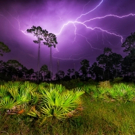 Palm Beach Photographic Centre to Open NATURE 24/7 Exhibition, 11/23 Video