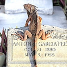 Jane Newhagen Graces Dover of September's KEYS STYLE Quarterly