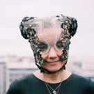 Björk Calls for Global Action to Prevent Destruction of Iceland's Highlands Video