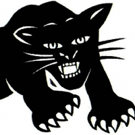 Jacqueline Wade's BLACK PANTHER WOMEN Premieres at 13th Street Rep Today