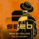 Seeb Unveils New Single 'What Do You Love' feat. Jacob Banks Video