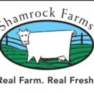 Shamrock Farms Launches It's Protein-Packed On-The-Go Milks at Walmart