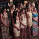 BWW Recap: Patti Murin Guides Us through a Partner-Swapping BACHELOR IN PARADISE Premiere