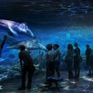 National Geographic ENCOUNTER: OCEAN ODYSSEY to Open in Times Square Next Fall Video
