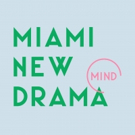 Miami New Drama Welcomes First Executive Director Video