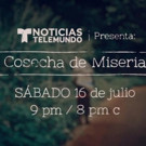 Telemundo to Present Documentary COSECHA DE MISERIA, 7/16