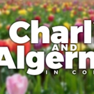 CHARLIE AND ALGERNON Concert Set for Feinstein's/54 Below Video