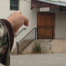 BWW Feature: FUSION FORUM: Cool Right Now