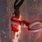 Alley Cat Theater Presenting Staged Reading at CABINET OF CURIOSITIES