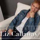 Broadway at the Cabaret - Top 5 Picks for November 30-December 6, Featuring Lena Hall, Liz Callaway, and More!