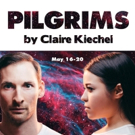 Forward Flux to Present PILGRIMS by Claire Kiechel Video