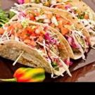 Taco Beach Shack Voted #1 Restaurant for Best Tasting Tacos // Hostel Hotspot in Holl