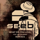DJ/Producer Trio Seeb's 'What Do You Love' (Remixes) Out Now Video
