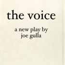 Joe Gulla's THE VOICE Warms Up Binghamton, NY Video