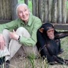 WAR FOR THE PLANET OF THE APES and Jane Goodall Institute Announce Partnership Video