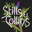 Stephen Still and Judy Collins to Play Warner Theatre This Fall Photo