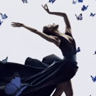 Single Tickets to The Australian Ballet's 2016 Season on Sale Next Week Video