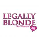 Scottsdale Desert Stages Theatre's LEGALLY BLONDE JR Opens Today Video