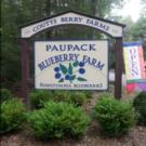 BWW Previews: Blueberries at PAUPACK BLUEBERRY FARM is a Summer Treat