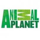 Animal Planet's THE LAST ALASKANS Hits Series High Video