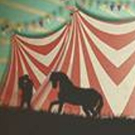 Travel Through Time with CIRCUS FLORA 6/1-25
