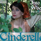 BWW Preview: INTO THE WOODS at Mac-Haydn Theatre