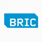 BRIC Receives Two Ippies Awards from Ethnic and Community Press Video