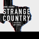 American Drama STRANGE COUNTRY Continues Through August at Access Theater Video