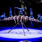 BWW Review: Cirque du Soleil Creates a Wondrous World in TORUK - THE FIRST FLIGHT Video