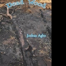 Joshua Agbo Announces New Dramatic African Play, DEAD WOOD