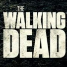 WALKING DEAD & FEAR THE WALKING DEAD Comic Con Trailers Rack Up 25 Million Views Video