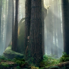 First Look - Disney Reveals New Poster Art for PETE'S DRAGON Video