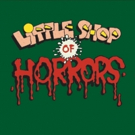 Miners Alley Playhouse to Stage LITTLE SHOP OF HORRORS This Summer Video