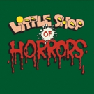 Miners Alley Playhouse to Stage LITTLE SHOP OF HORRORS This Summer