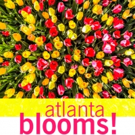 ATLANTA BLOOMS Explodes This Spring at the Atlanta Botanical Garden