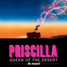 PRISCILLA: QUEEN OF THE DESERT Extends Into March at Pride Films and Plays Video