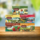 Celestial Seasonings' Brings Back Iconic Packaging, Introduces Five New Tea Flavors A