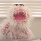STAGE TUBE: Puppets Meet Theatre Casting in PENELOPE, PCSA Mockumentary! Video