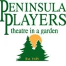 Peninsula Players to Stage Reading of Michael Perry's POPULATION 485 Video