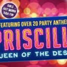PRISCILLA, QUEEN OF THE DESERT Speeds Into the Patchogue Theatre Video
