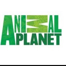 Animal Planet Premieres New Series DR. DEE: ALASKA VET Tonight